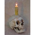 Perfectpretend Skull Display with deluxe Candle PE1413035